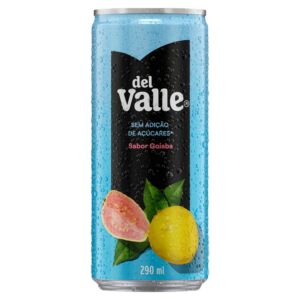 DEL VALLE GOIABA 290ML
